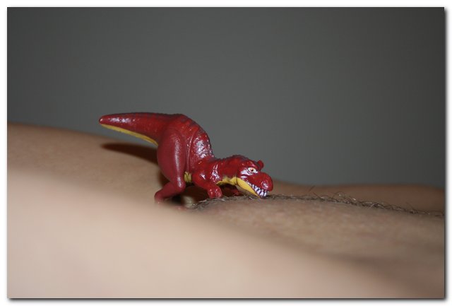 zuzinka dino